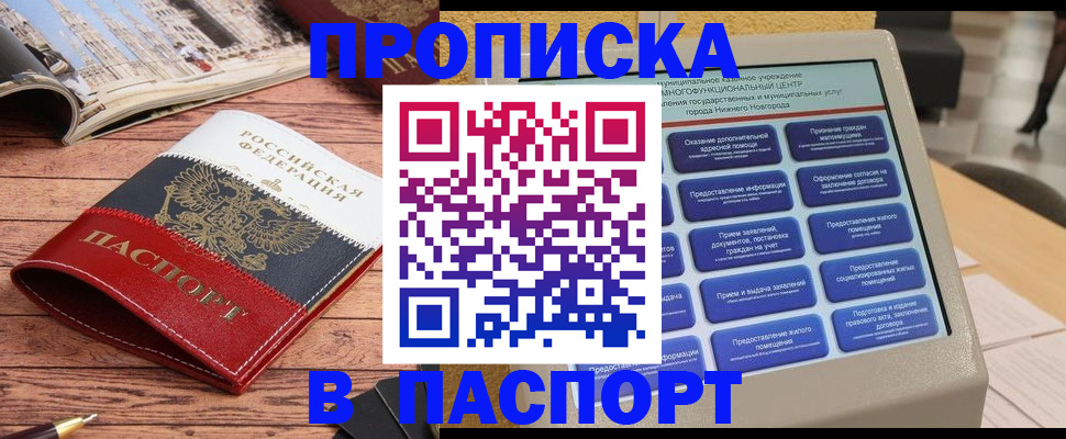 прописка штамп в Алексеевке